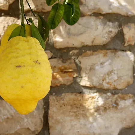 Azienda Agrituristica E Didattica Craunari Modica