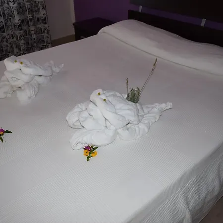 Apartament Azienda Agrituristica E Didattica Craunari